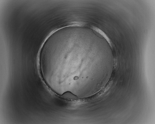 X0000100321099200806051511