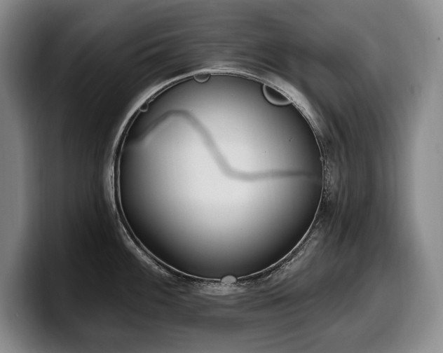 X0000100321100200806051511
