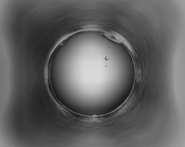 X0000100321101200806051511