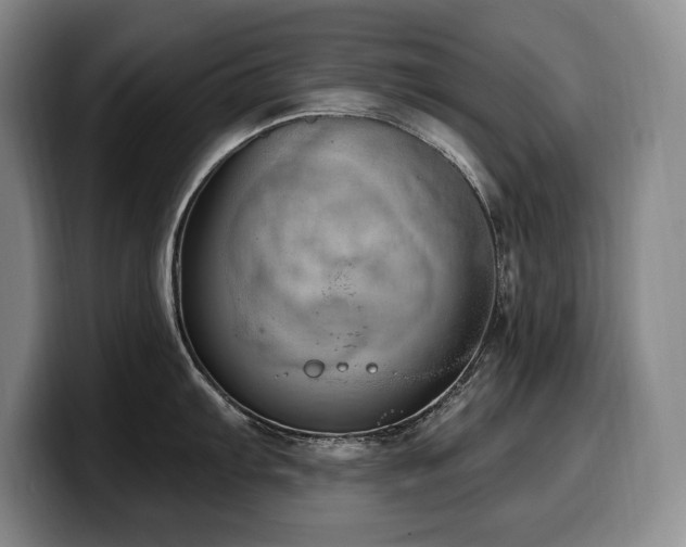 X0000100321103200806051511