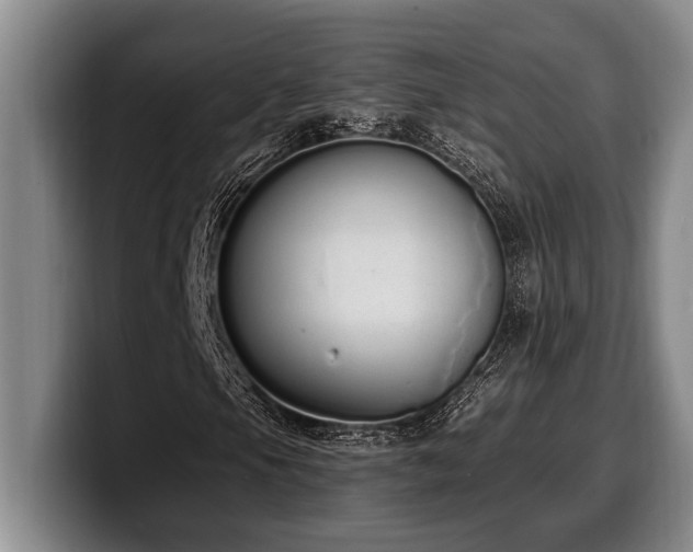 X0000100321105200806051511