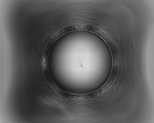 X0000100321106200806051511