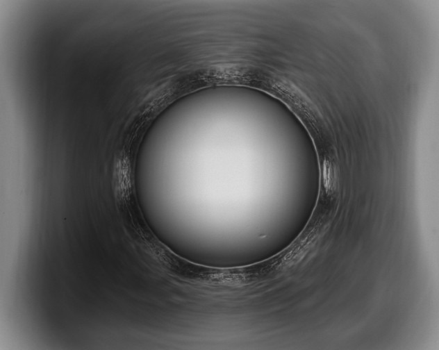 X0000100321107200806051511
