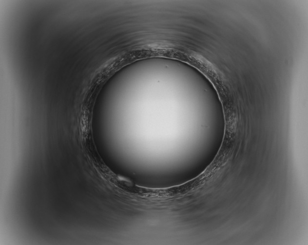 X0000100321110200806051511