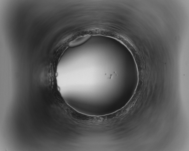 X0000100321111200806051511