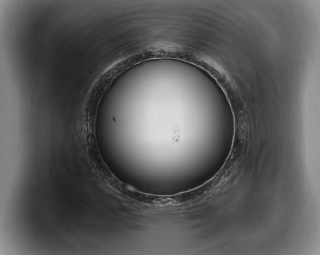 X0000100321112200806051511