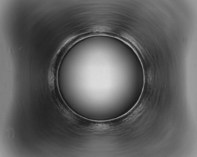 X0000100321115200806051511