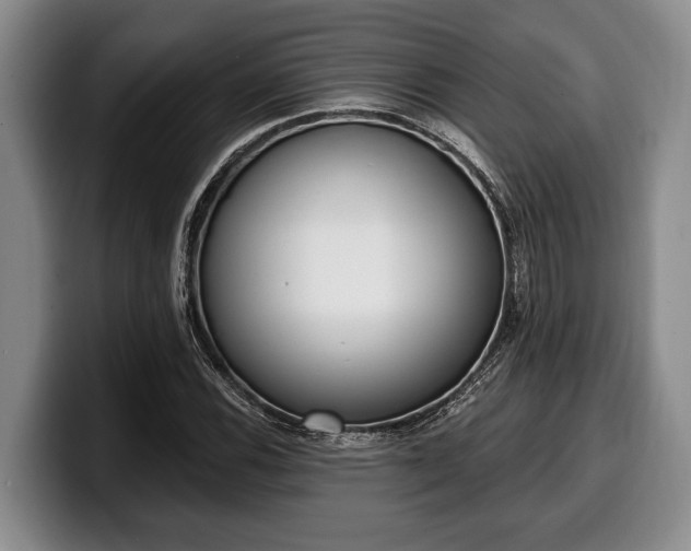 X0000100321116200806051511