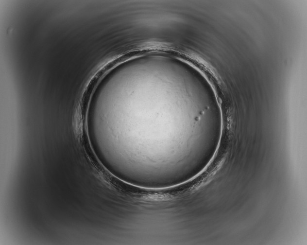 X0000100321117200806051511