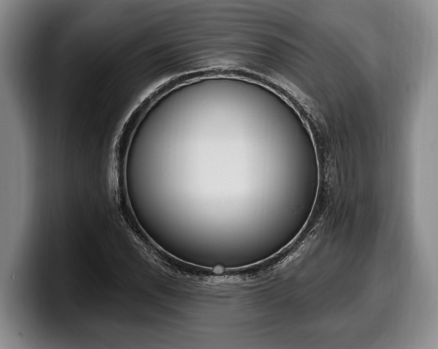X0000100321118200806051511