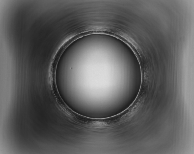 X0000100321119200806051511