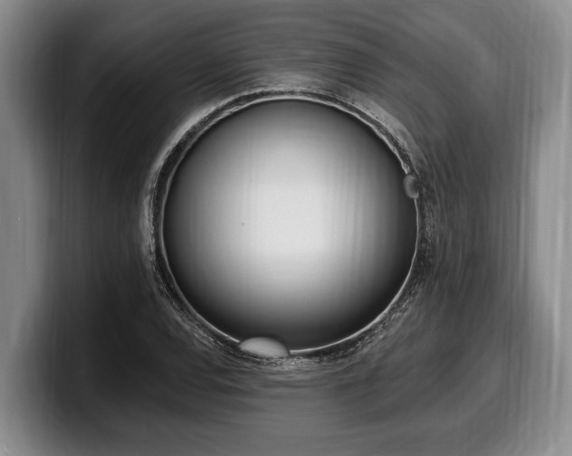 X0000100321120200806051511