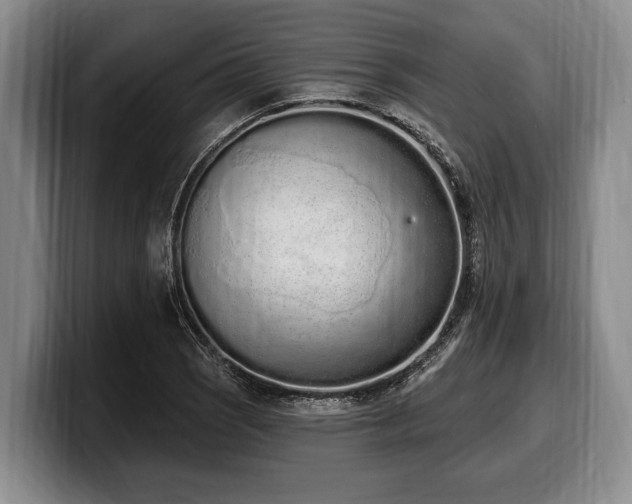 X0000100321121200806051511