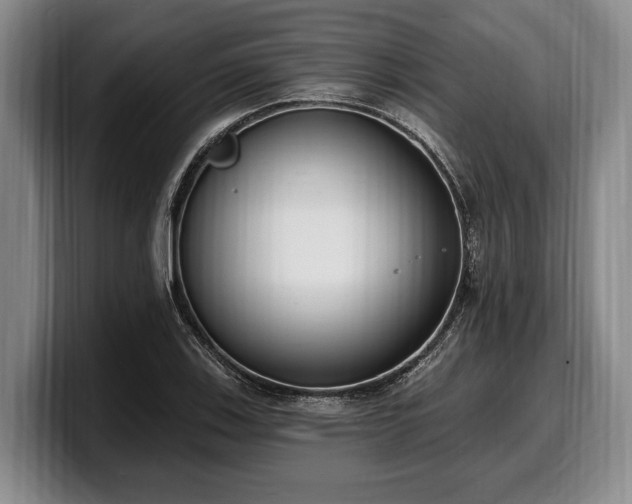 X0000100321123200806051511