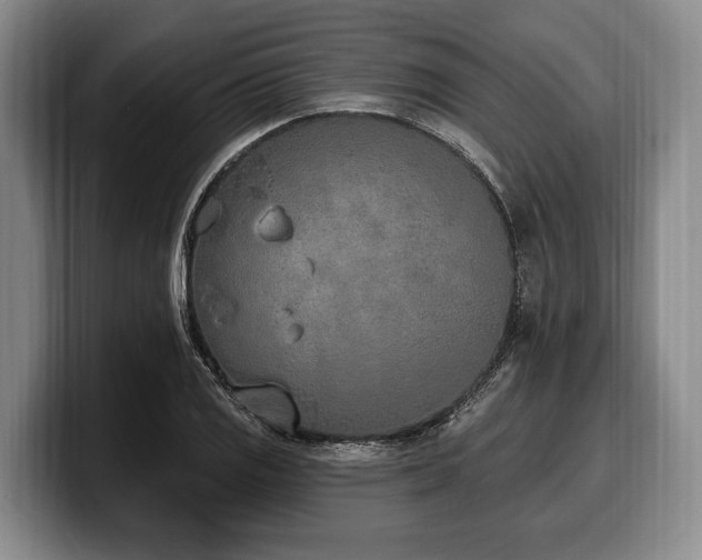 X0000100321125200806051511