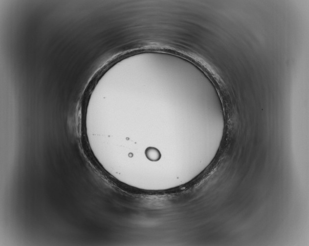 X0000100321126200806051511