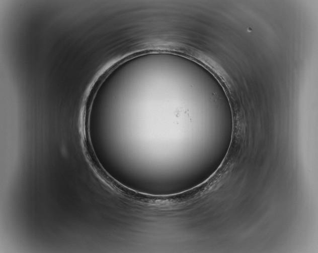 X0000100321128200806051511
