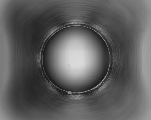 X0000100321129200806051511