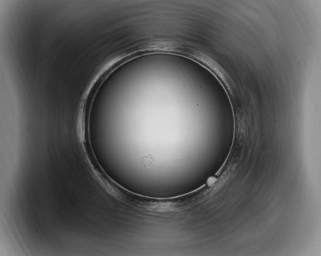 X0000100321131200806051511
