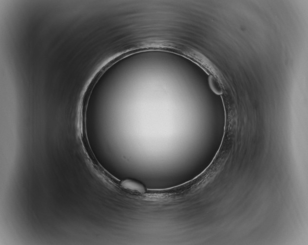 X0000100321132200806051511