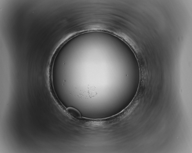 X0000100321134200806051511
