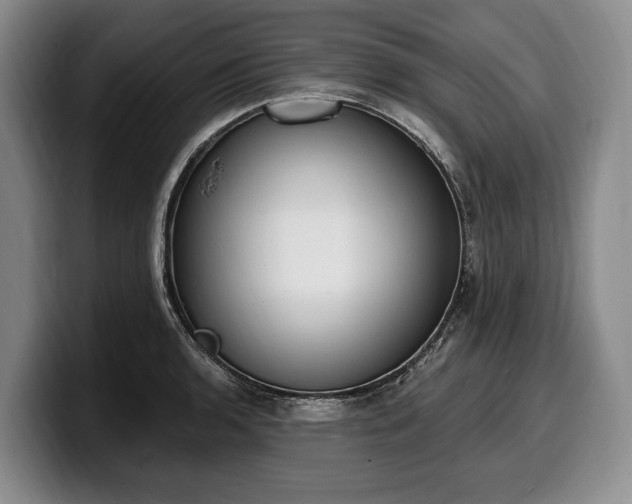 X0000100321136200806051511