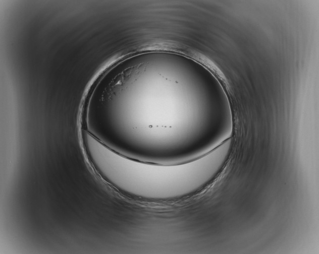 X0000100321138200806051511