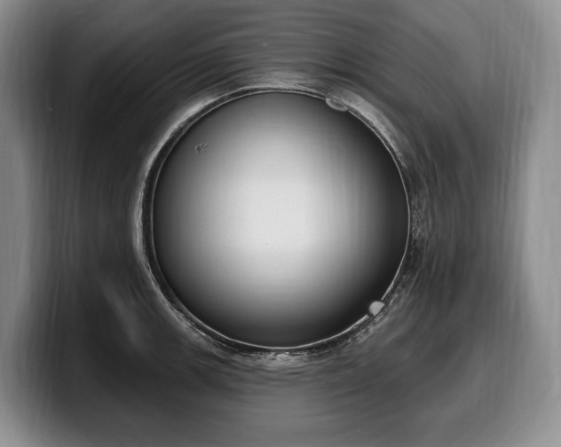 X0000100321139200806051511