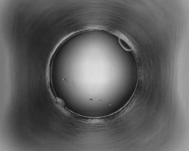 X0000100321140200806051511
