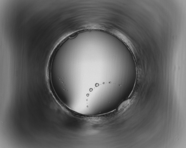 X0000100321141200806051511