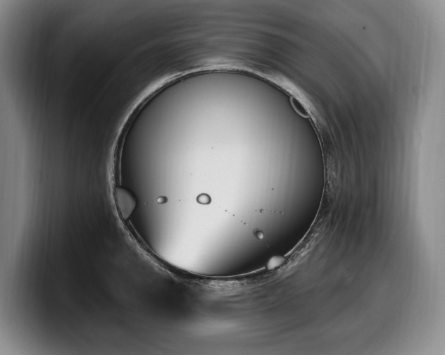 X0000100321142200806051511