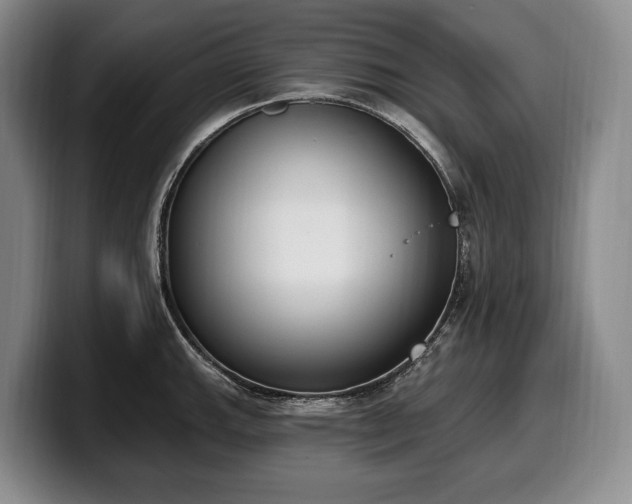 X0000100321143200806051511