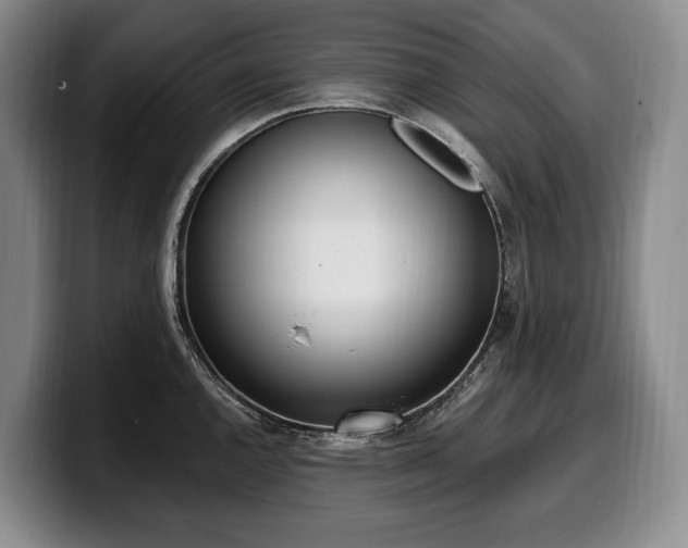 X0000100321144200806051511