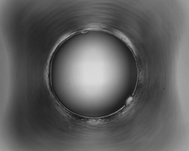 X0000100321146200806051511