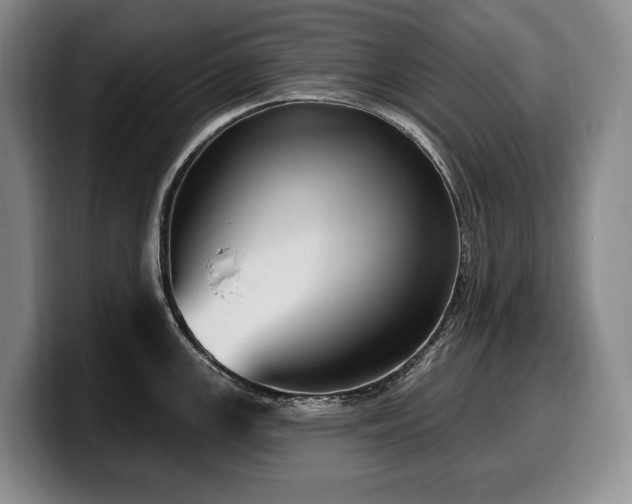 X0000100321147200806051511