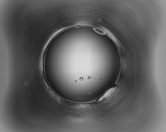 X0000100321148200806051511