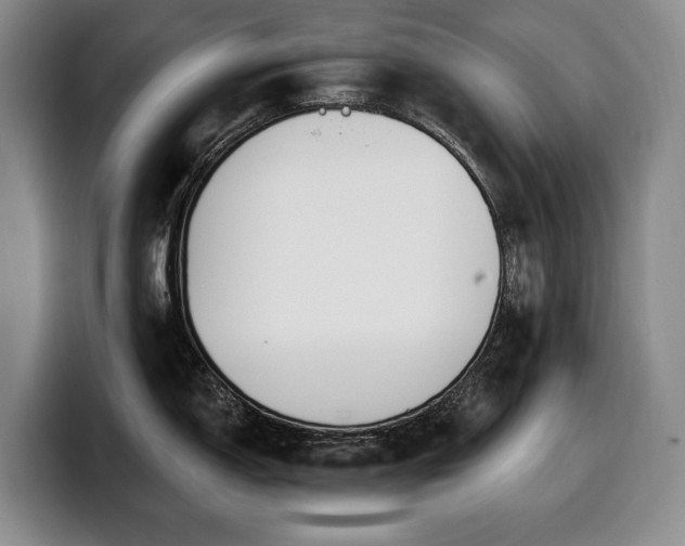 X0000100321150200806051511