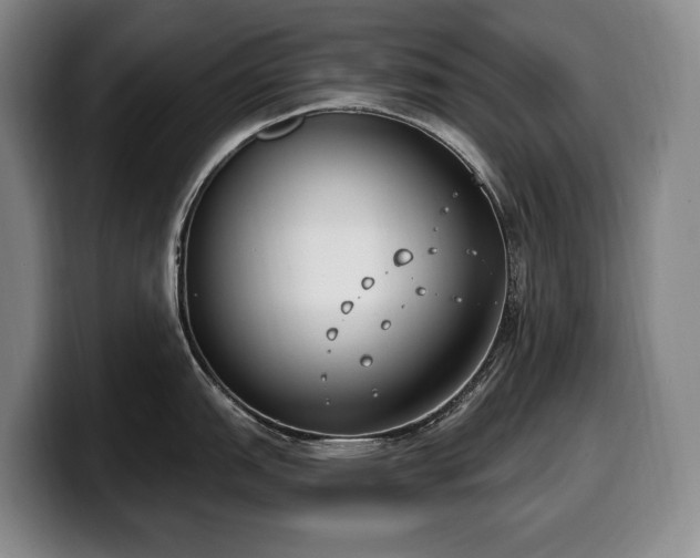 X0000100321151200806051511