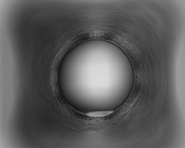 X0000100321153200806051511