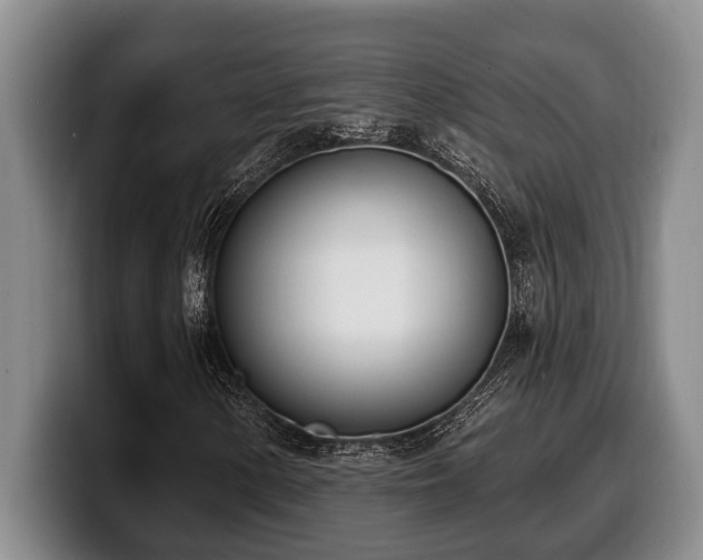 X0000100321154200806051511