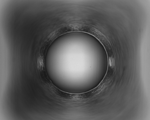 X0000100321155200806051511
