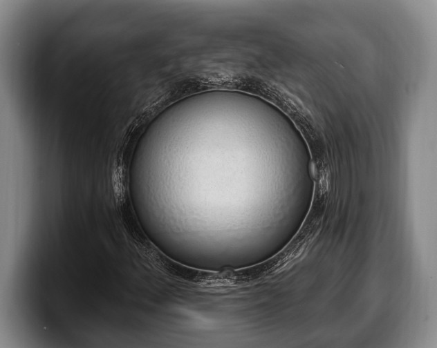 X0000100321156200806051511