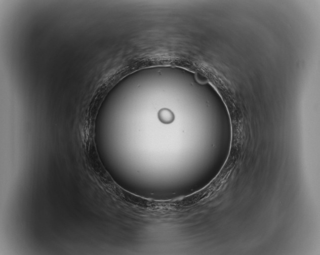 X0000100321157200806051511