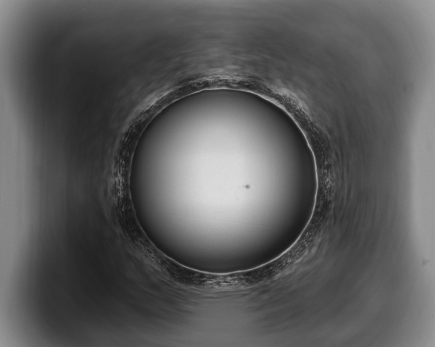 X0000100321159200806051511