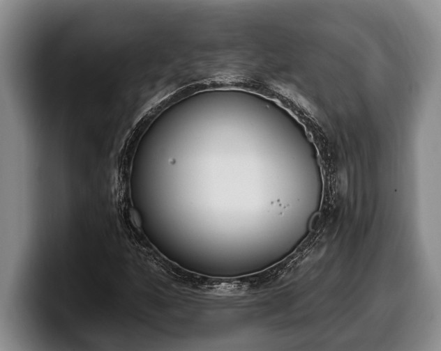 X0000100321160200806051511