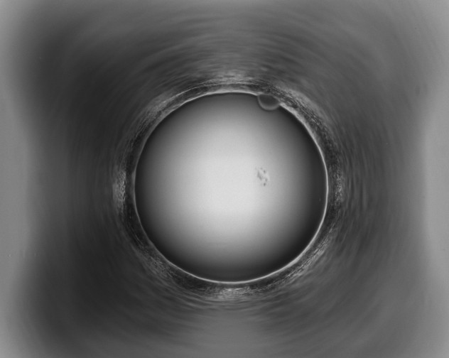 X0000100321161200806051511