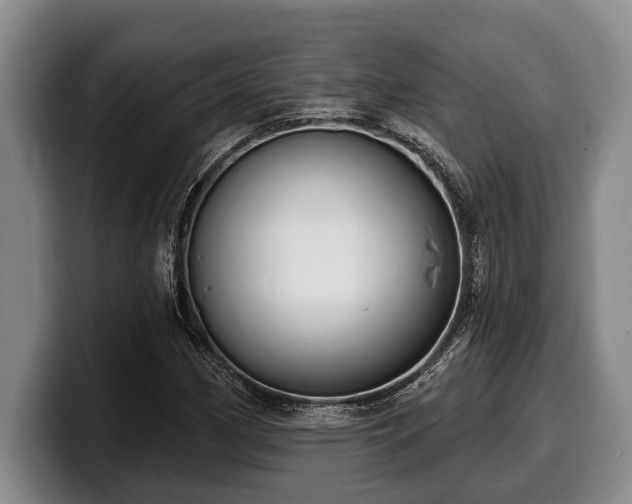 X0000100321162200806051511