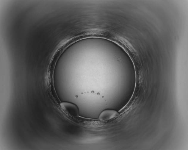 X0000100321164200806051511