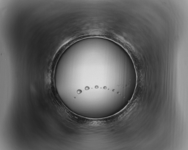 X0000100321166200806051511
