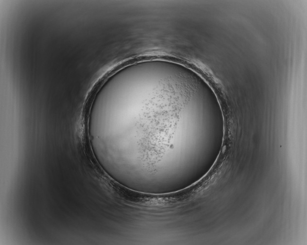 X0000100321167200806051511